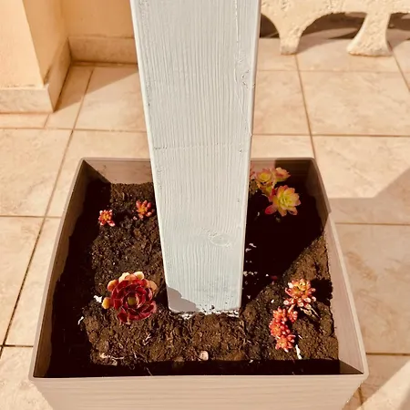 Sedile Dei Nobili トロペーア