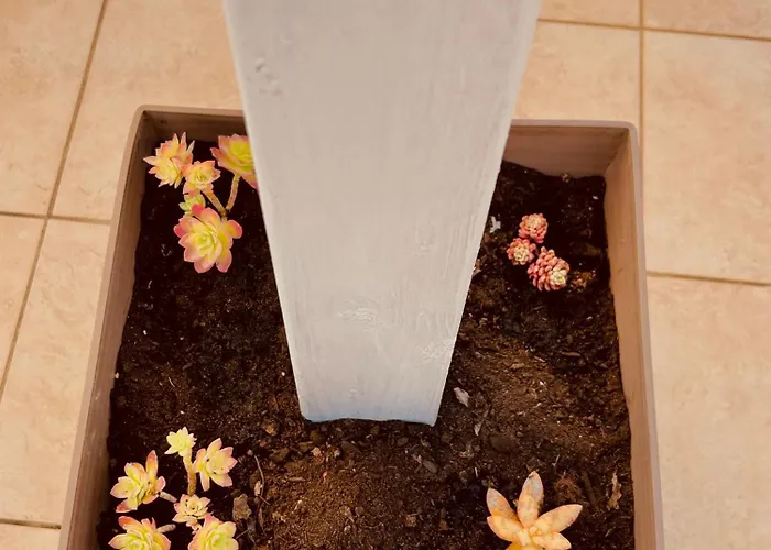 Gasthuis Sedile Dei Nobili Tropea