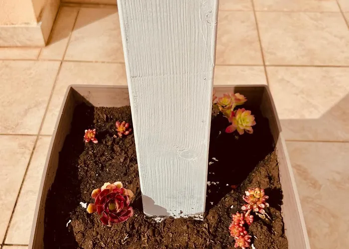 Sedile Dei Nobili Tropea