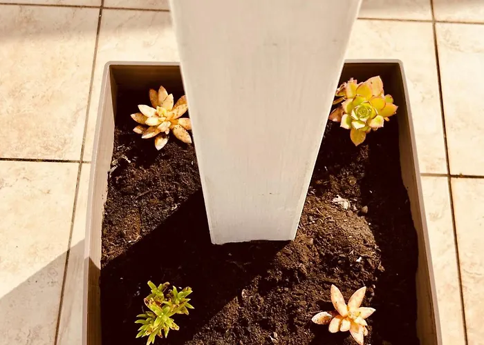 Sedile Dei Nobili Gasthuis